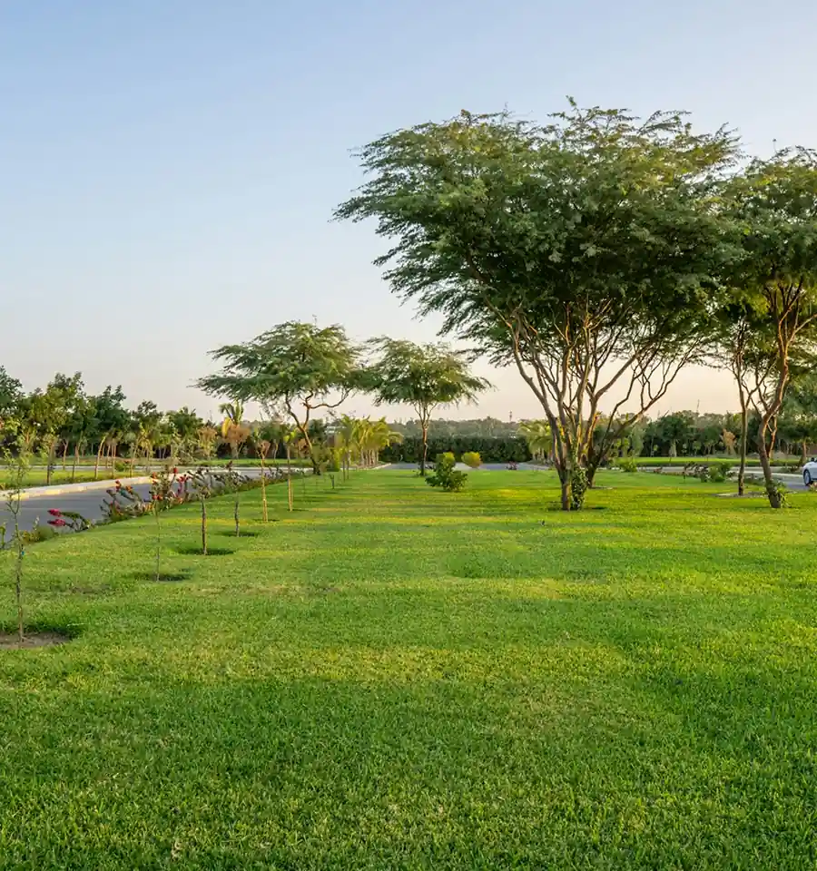 Green Area amenities image